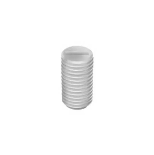 Plastik Vida (Altı Köşe Yıvlı) M4 x 12mm - Naylon, Yalıtkan, Manyetik Değil